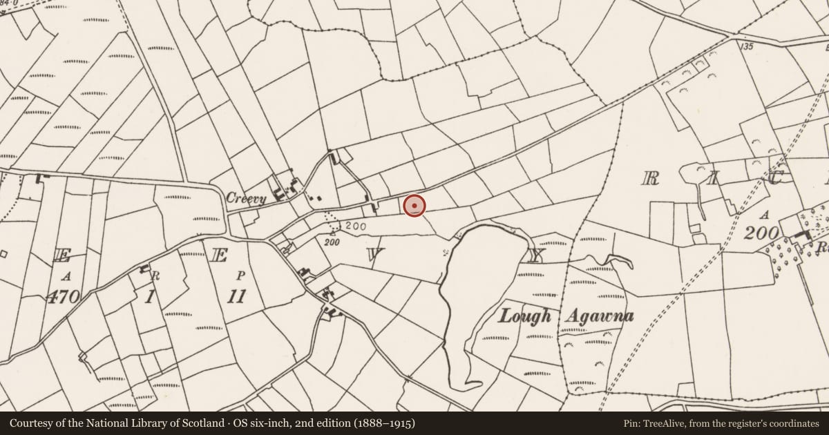 Ordnance Survey six-inch map, 2nd edition (1888–1915) covering the location of Megalithic tomb - unclassified, Creevy, County Mayo, with a pin at the register's coordinates