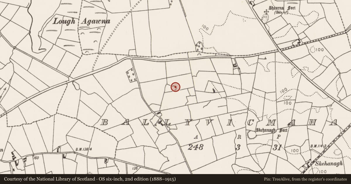Ordnance Survey six-inch map, 2nd edition (1888–1915) covering the location of Ringfort - rath, Ballyvicmaha, County Mayo, with a pin at the register's coordinates