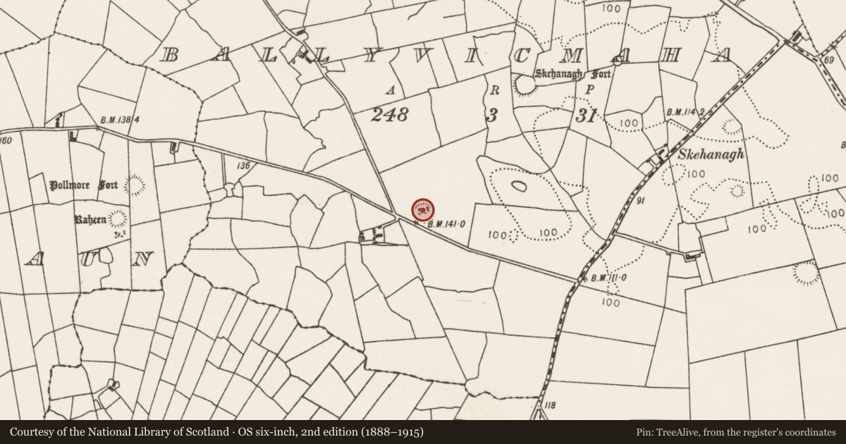 Ordnance Survey six-inch map, 2nd edition (1888–1915) covering the location of Enclosure, Ballyvicmaha, County Mayo, with a pin at the register's coordinates