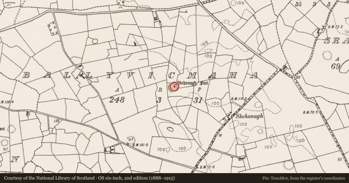 Ordnance Survey six-inch map, 2nd edition (1888–1915) covering the location of Ringfort - rath, Ballyvicmaha, County Mayo, with a pin at the register's coordinates