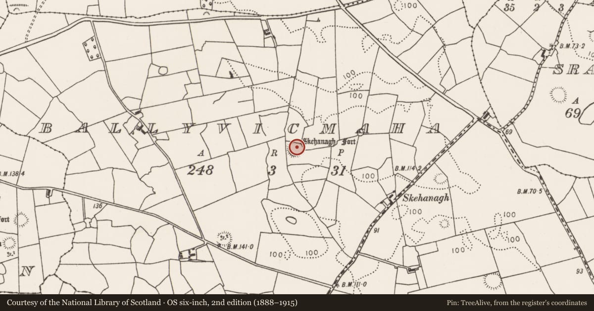 Ordnance Survey six-inch map, 2nd edition (1888–1915) covering the location of Children's burial ground, Ballyvicmaha, County Mayo, with a pin at the register's coordinates