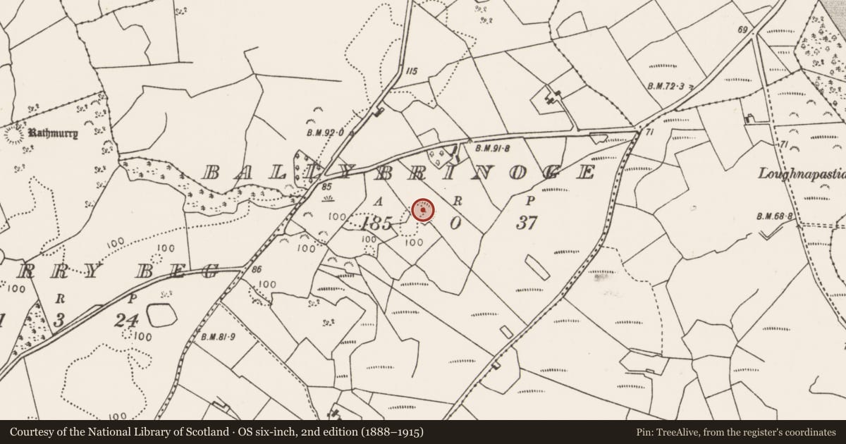 Ordnance Survey six-inch map, 2nd edition (1888–1915) covering the location of Enclosure, Ballybrinoge, County Mayo, with a pin at the register's coordinates