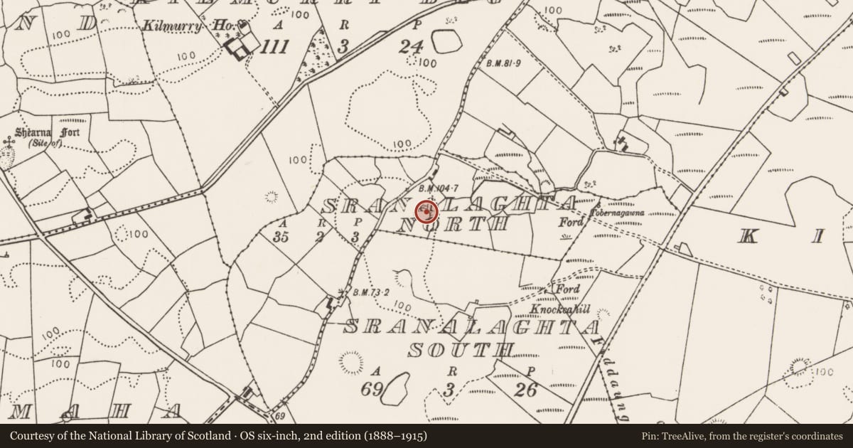 Ordnance Survey six-inch map, 2nd edition (1888–1915) covering the location of Ringfort - rath, Sranalaghta North, County Mayo, with a pin at the register's coordinates