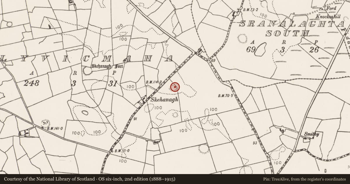 Ordnance Survey six-inch map, 2nd edition (1888–1915) covering the location of Ringfort - rath, Dervin, County Mayo, with a pin at the register's coordinates