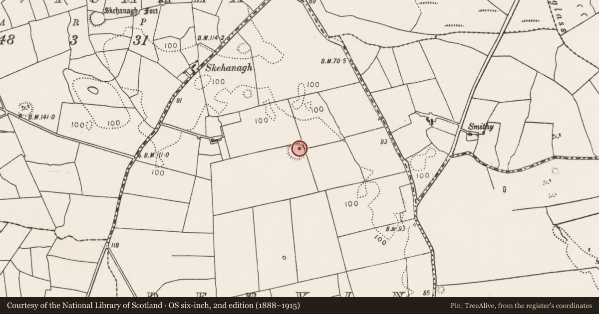 Ordnance Survey six-inch map, 2nd edition (1888–1915) covering the location of Ringfort - rath, Dervin, County Mayo, with a pin at the register's coordinates