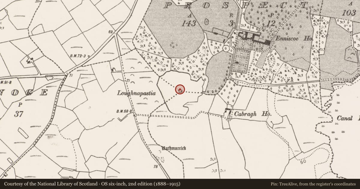 Ordnance Survey six-inch map, 2nd edition (1888–1915) covering the location of Crannog, County Mayo, with a pin at the register's coordinates
