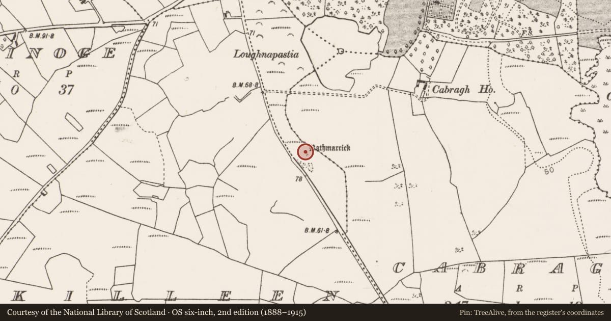 Ordnance Survey six-inch map, 2nd edition (1888–1915) covering the location of Enclosure, Killeen (Tirawley By., Crossmolina Par.), County Mayo, with a pin at the register's coordinates
