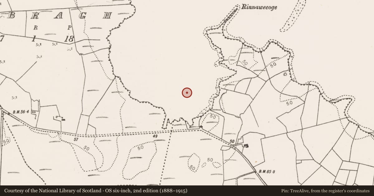 Ordnance Survey six-inch map, 2nd edition (1888–1915) covering the location of Crannog, Lough Conn, County Mayo, with a pin at the register's coordinates