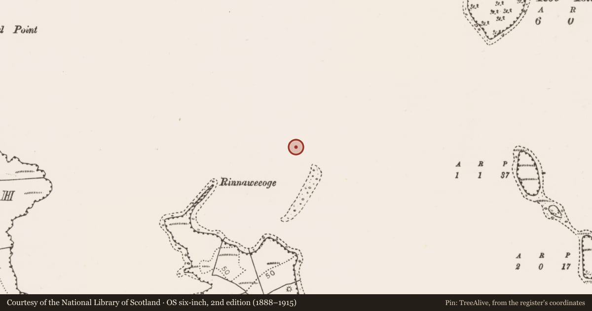 Ordnance Survey six-inch map, 2nd edition (1888–1915) covering the location of Causeway, Lough Conn, County Mayo, with a pin at the register's coordinates