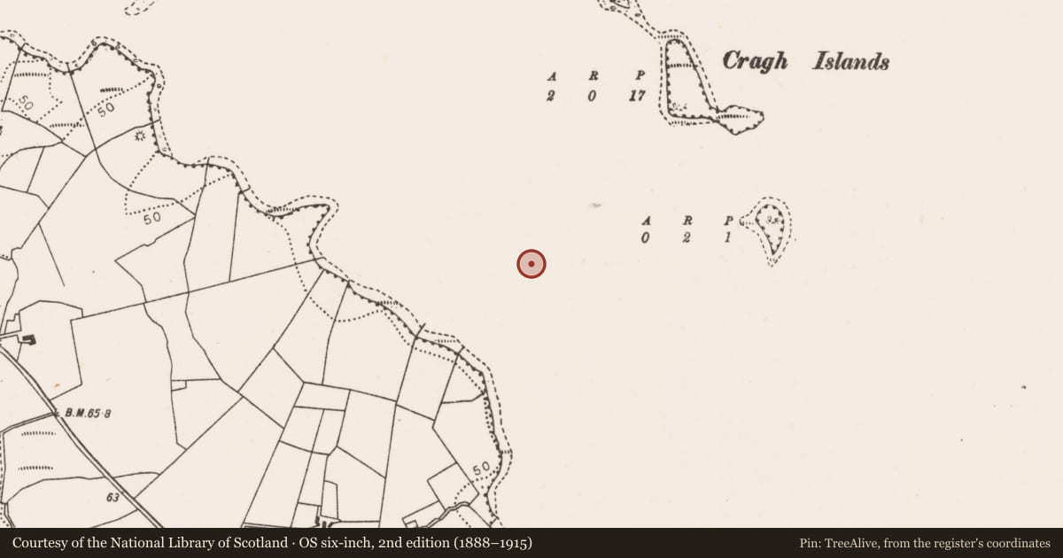 Ordnance Survey six-inch map, 2nd edition (1888–1915) covering the location of Crannog, Lough Conn, County Mayo, with a pin at the register's coordinates