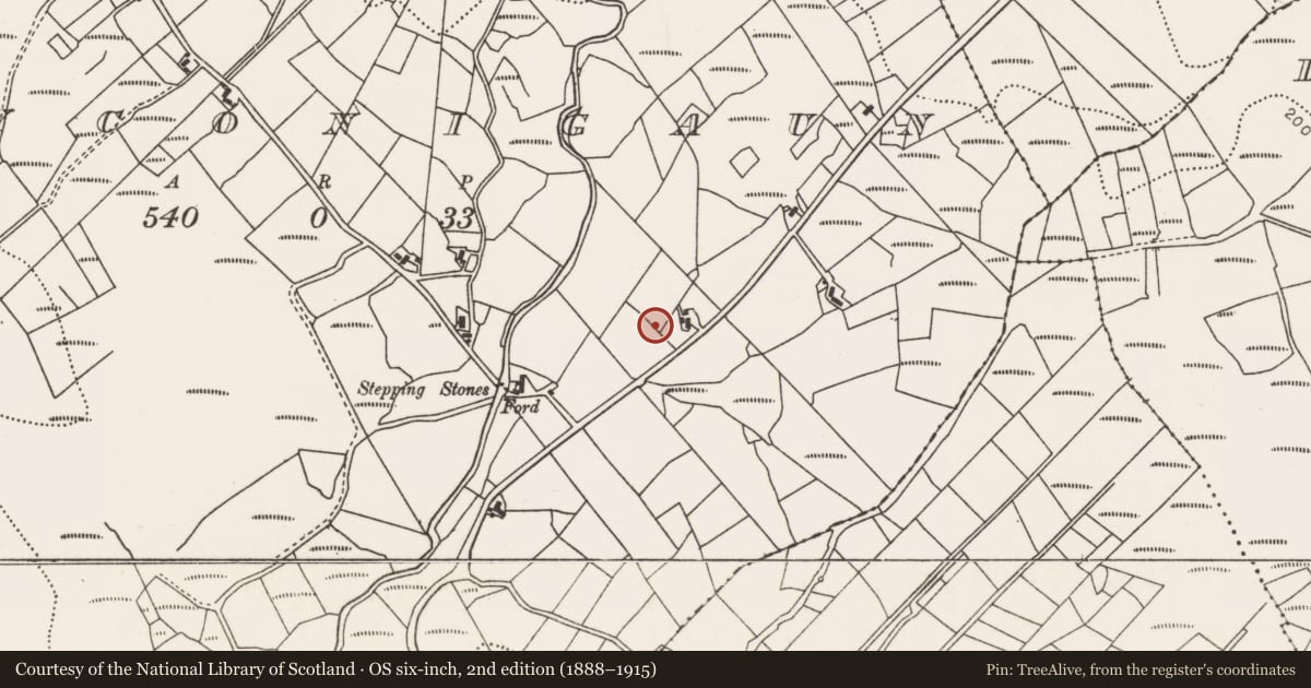 Ordnance Survey six-inch map, 2nd edition (1888–1915) covering the location of Enclosure, Srahyconigaun, County Mayo, with a pin at the register's coordinates