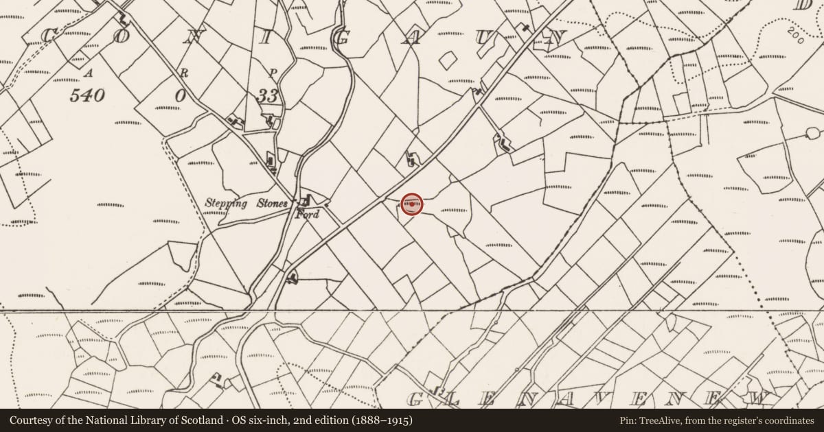 Ordnance Survey six-inch map, 2nd edition (1888–1915) covering the location of Megalithic tomb - unclassified, Srahyconigaun, County Mayo, with a pin at the register's coordinates