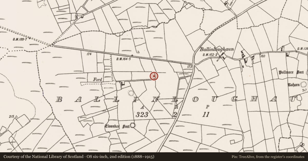 Ordnance Survey six-inch map, 2nd edition (1888–1915) covering the location of Ringfort - rath, Ballinloughaun, County Mayo, with a pin at the register's coordinates
