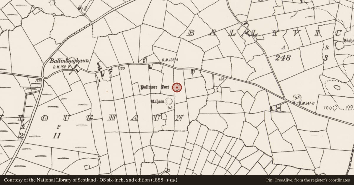 Ordnance Survey six-inch map, 2nd edition (1888–1915) covering the location of Ringfort - rath, Ballinloughaun, County Mayo, with a pin at the register's coordinates