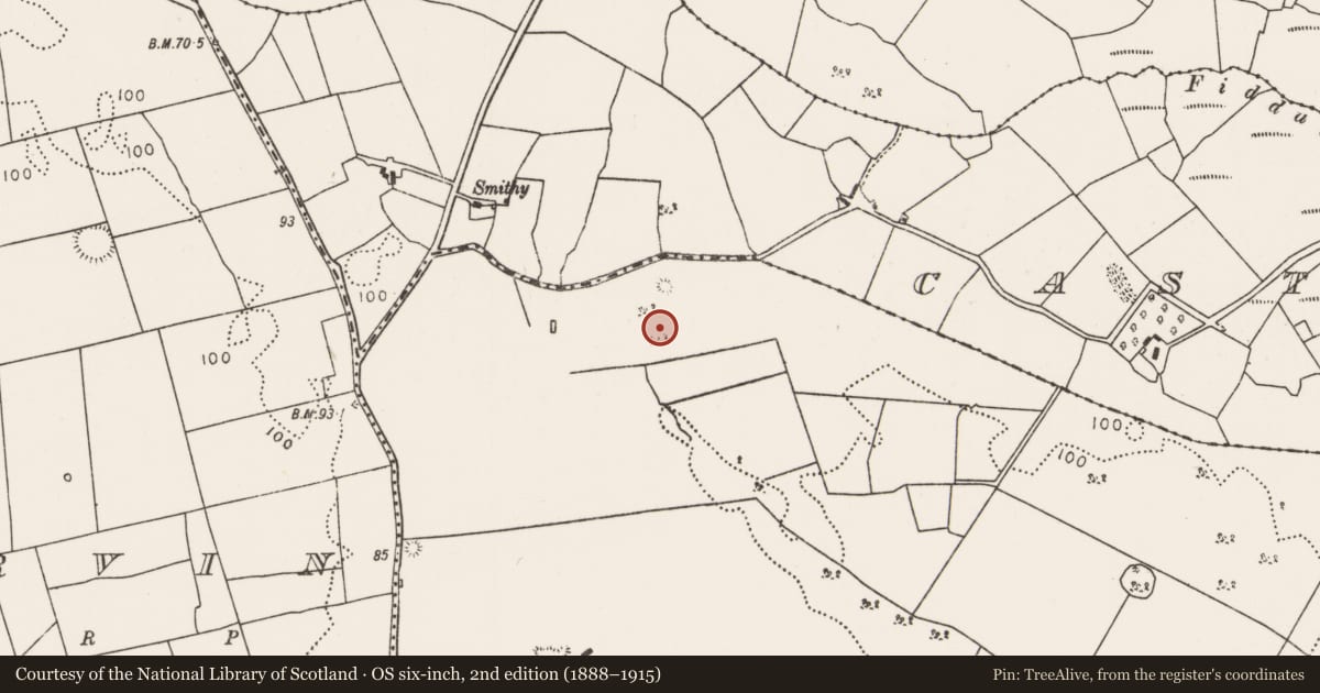 Ordnance Survey six-inch map, 2nd edition (1888–1915) covering the location of Ringfort - rath, Castlehill (Tirawley By., Crossmolina. Par.), County Mayo, with a pin at the register's coordinates