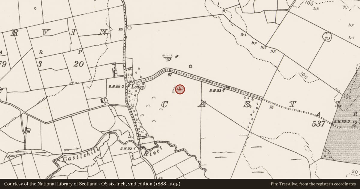 Ordnance Survey six-inch map, 2nd edition (1888–1915) covering the location of Enclosure, Castlehill (Tirawley By., Crossmolina. Par.), County Mayo, with a pin at the register's coordinates