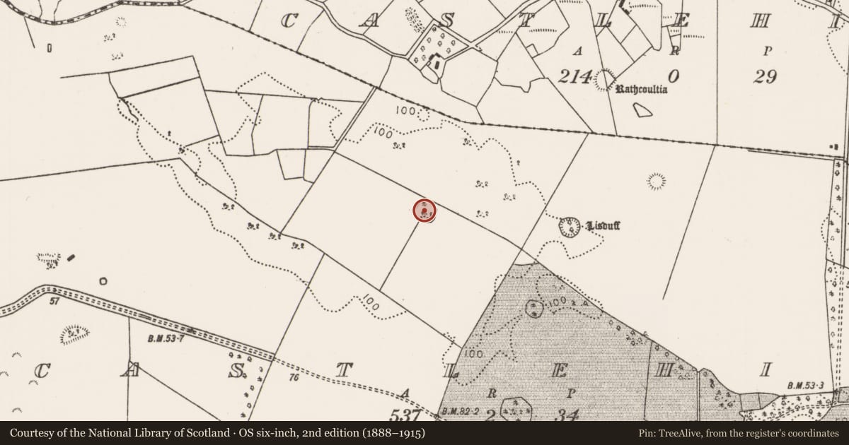 Ordnance Survey six-inch map, 2nd edition (1888–1915) covering the location of Ringfort - rath, Castlehill (Tirawley By., Crossmolina. Par.), County Mayo, with a pin at the register's coordinates