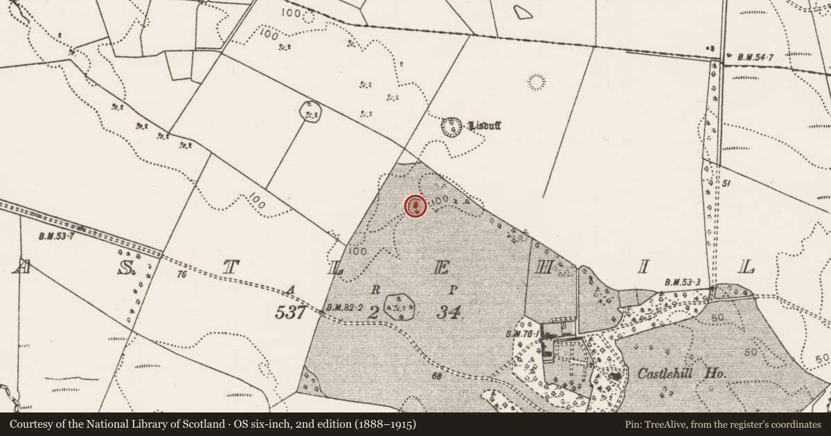 Ordnance Survey six-inch map, 2nd edition (1888–1915) covering the location of Enclosure, Castlehill (Tirawley By., Crossmolina. Par.), County Mayo, with a pin at the register's coordinates