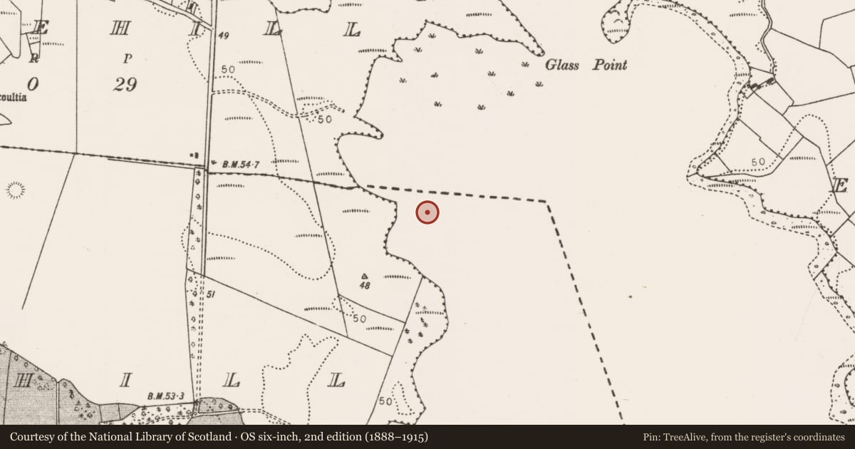 Ordnance Survey six-inch map, 2nd edition (1888–1915) covering the location of Crannog, Lough Conn, County Mayo, with a pin at the register's coordinates