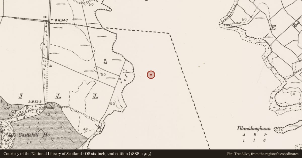 Ordnance Survey six-inch map, 2nd edition (1888–1915) covering the location of Crannog, Lough Conn, County Mayo, with a pin at the register's coordinates
