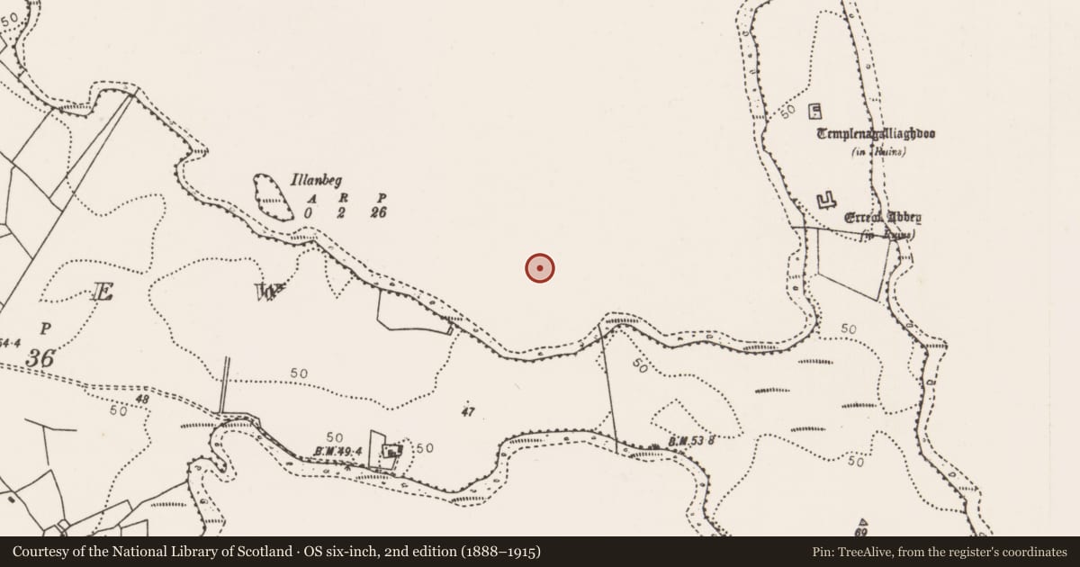 Ordnance Survey six-inch map, 2nd edition (1888–1915) covering the location of Crannog, Lough Conn, County Mayo, with a pin at the register's coordinates