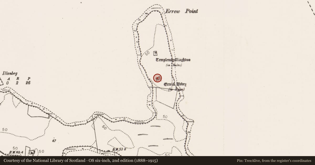 Ordnance Survey six-inch map, 2nd edition (1888–1915) covering the location of Religious house - Augustinian canons, Errew, County Mayo, with a pin at the register's coordinates