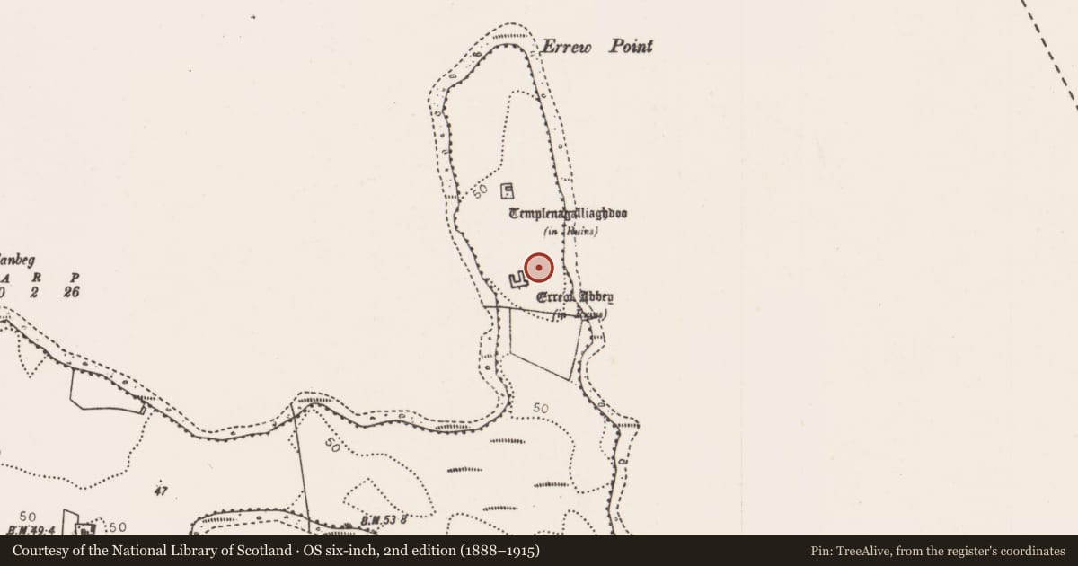Ordnance Survey six-inch map, 2nd edition (1888–1915) covering the location of Enclosure, Errew, County Mayo, with a pin at the register's coordinates