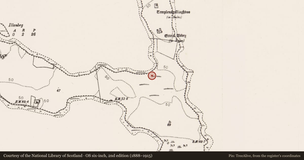 Ordnance Survey six-inch map, 2nd edition (1888–1915) covering the location of Enclosure, Errew, County Mayo, with a pin at the register's coordinates