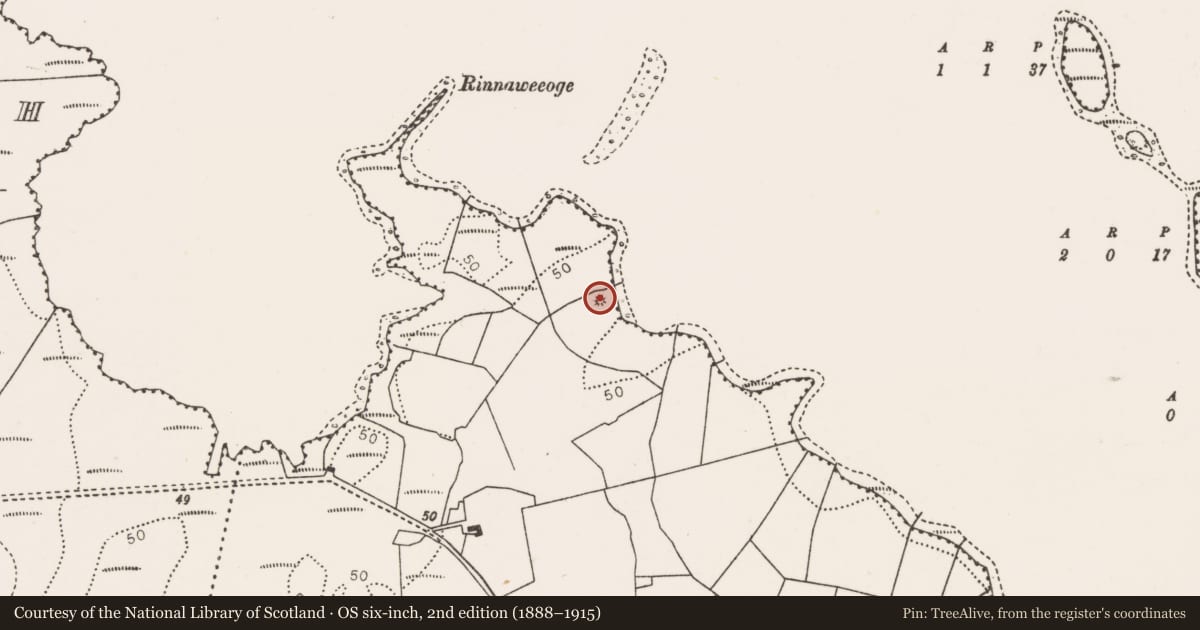 Ordnance Survey six-inch map, 2nd edition (1888–1915) covering the location of Enclosure, Errew, County Mayo, with a pin at the register's coordinates