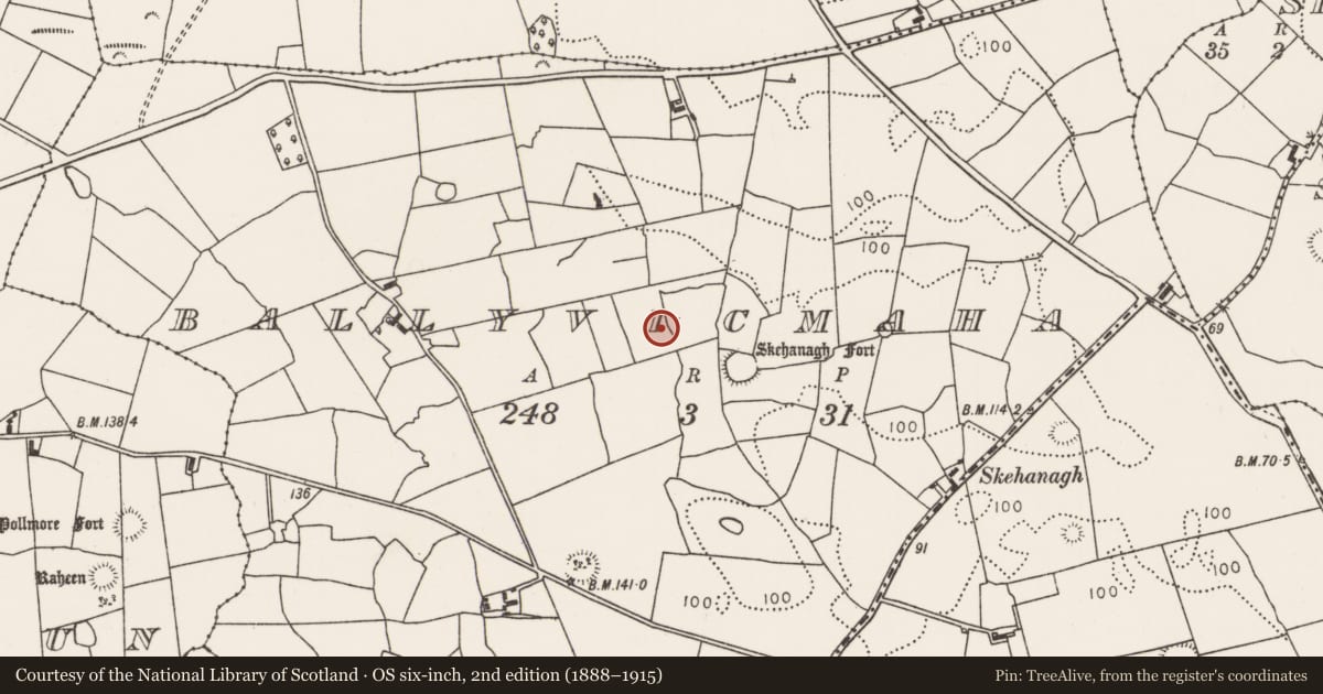 Ordnance Survey six-inch map, 2nd edition (1888–1915) covering the location of Cist, Ballyvicmaha, County Mayo, with a pin at the register's coordinates