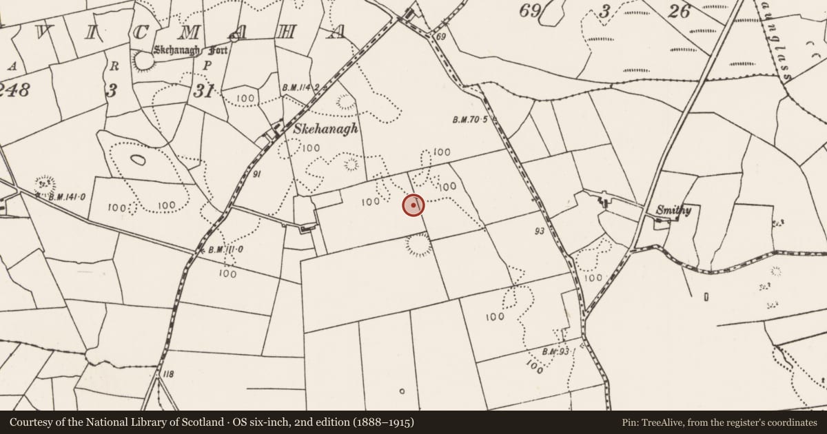 Ordnance Survey six-inch map, 2nd edition (1888–1915) covering the location of Mound, Dervin, County Mayo, with a pin at the register's coordinates