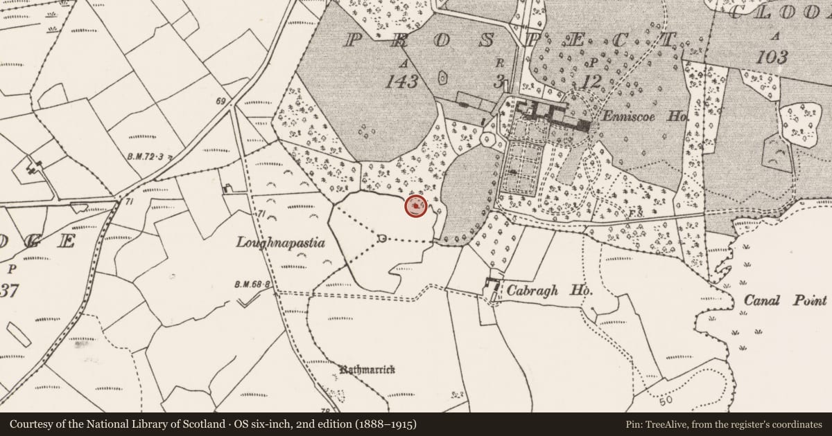 Ordnance Survey six-inch map, 2nd edition (1888–1915) covering the location of Crannog, Prospect, County Mayo, with a pin at the register's coordinates