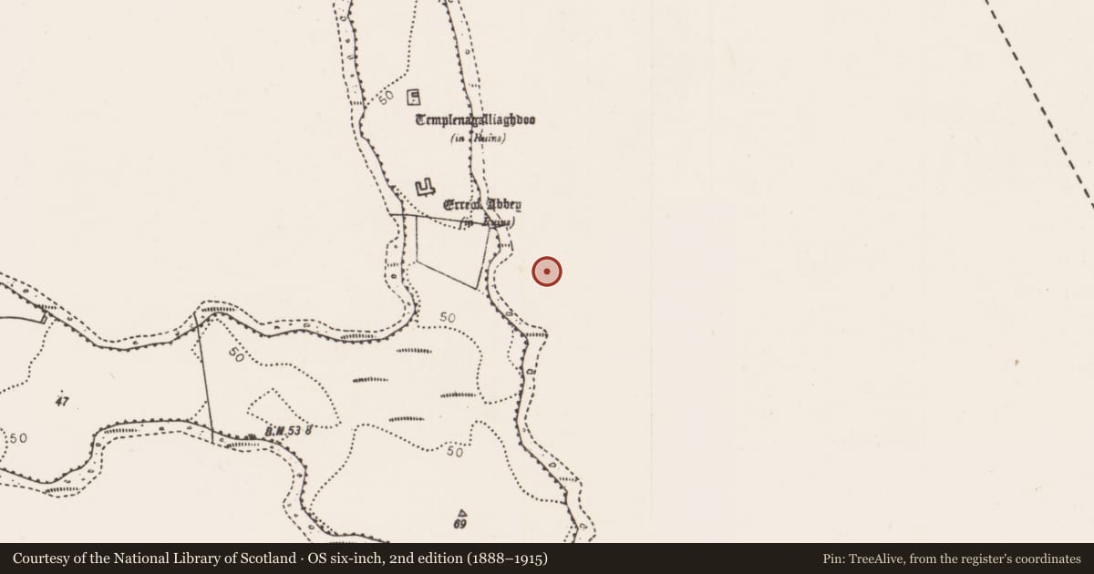 Ordnance Survey six-inch map, 2nd edition (1888–1915) covering the location of Crannog, Lough Conn, County Mayo, with a pin at the register's coordinates