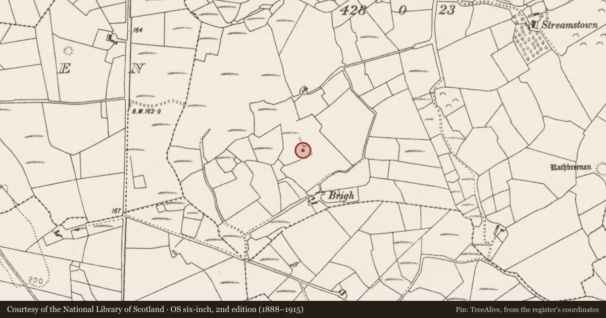 Ordnance Survey six-inch map, 2nd edition (1888–1915) covering the location of Ringfort - rath, Ballinlabaun, County Mayo, with a pin at the register's coordinates
