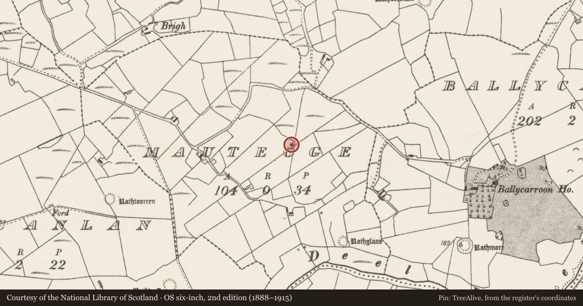 Ordnance Survey six-inch map, 2nd edition (1888–1915) covering the location of Burnt mound, Mauteoge, County Mayo, with a pin at the register's coordinates