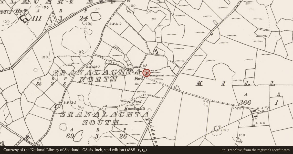 Ordnance Survey six-inch map, 2nd edition (1888–1915) covering the location of Burnt mound, Sranalaghta South, Sranalaghta North, County Mayo, with a pin at the register's coordinates