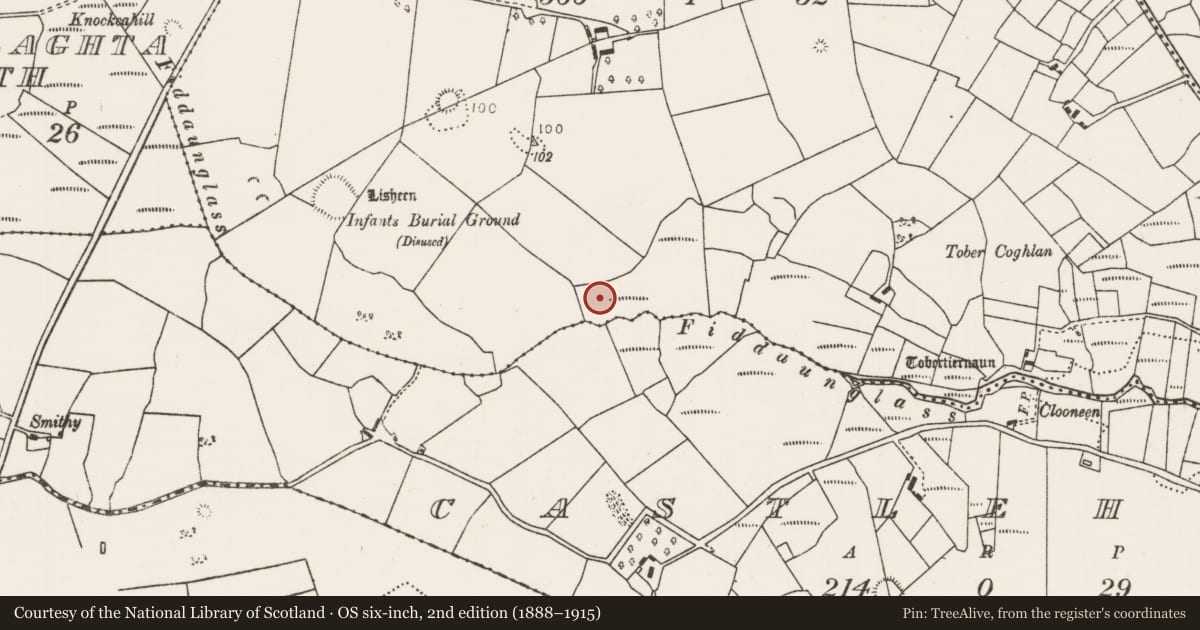 Ordnance Survey six-inch map, 2nd edition (1888–1915) covering the location of Burnt mound, Killeen (Tirawley By., Crossmolina Par.), County Mayo, with a pin at the register's coordinates