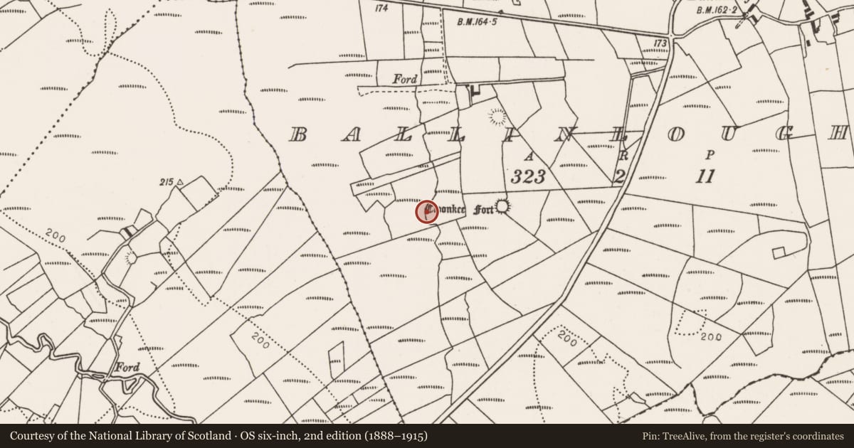 Ordnance Survey six-inch map, 2nd edition (1888–1915) covering the location of Burnt mound, Ballinloughaun, County Mayo, with a pin at the register's coordinates