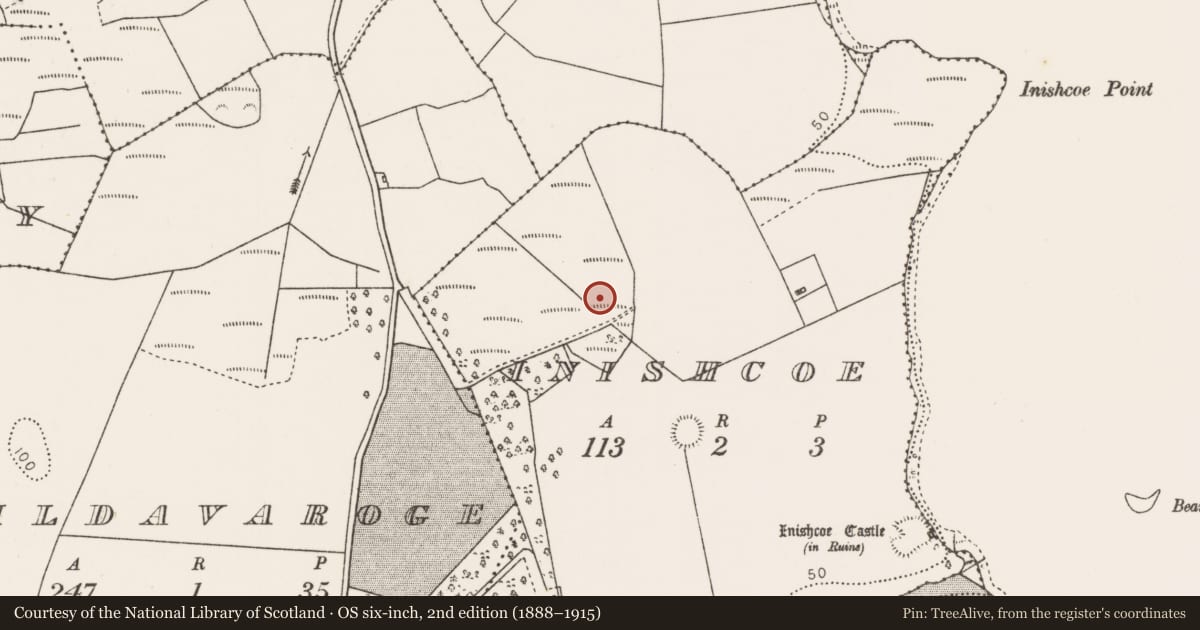 Ordnance Survey six-inch map, 2nd edition (1888–1915) covering the location of Burnt mound, Inishcoe, County Mayo, with a pin at the register's coordinates