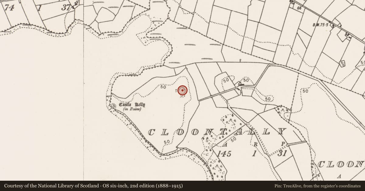 Ordnance Survey six-inch map, 2nd edition (1888–1915) covering the location of Ringfort - rath, Cloontally, County Mayo, with a pin at the register's coordinates