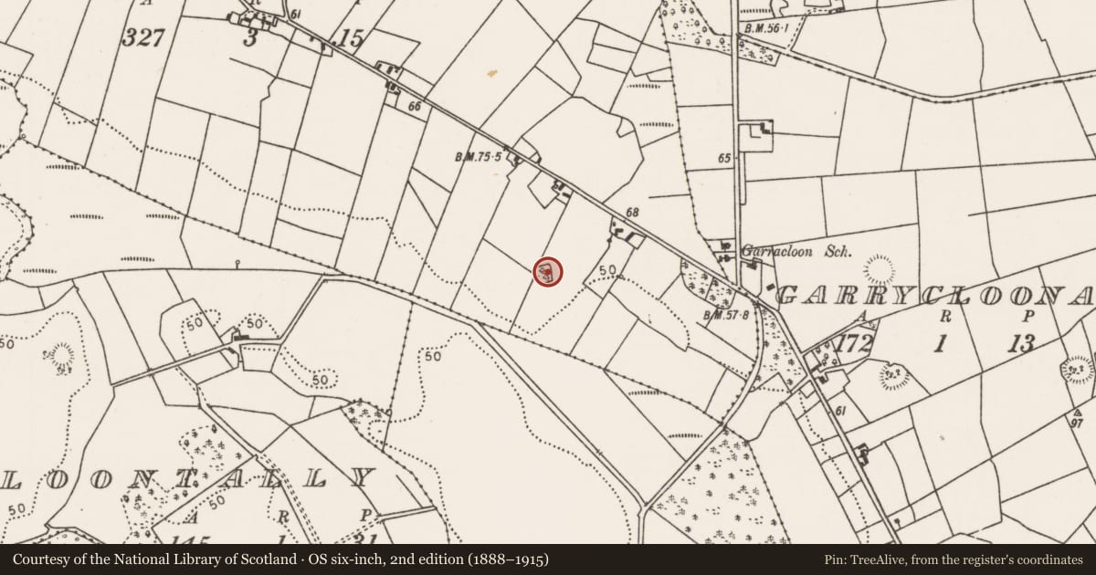 Ordnance Survey six-inch map, 2nd edition (1888–1915) covering the location of Ringfort - rath, Knockfree, County Mayo, with a pin at the register's coordinates