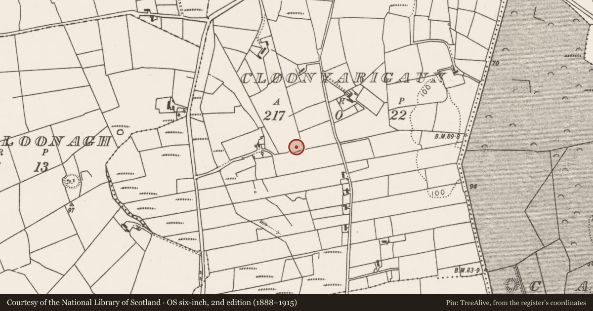 Ordnance Survey six-inch map, 2nd edition (1888–1915) covering the location of Enclosure, Cloonyarigaun, County Mayo, with a pin at the register's coordinates