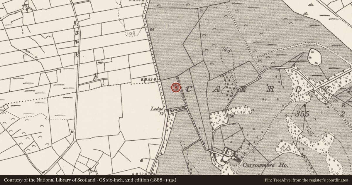 Ordnance Survey six-inch map, 2nd edition (1888–1915) covering the location of Ringfort - rath, Carrowmore (Tirawley By., Kilbelfad Par.), County Mayo, with a pin at the register's coordinates