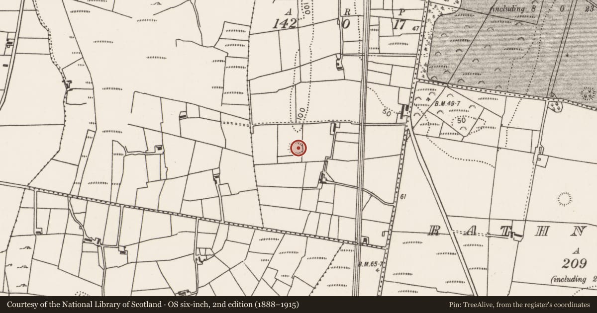 Ordnance Survey six-inch map, 2nd edition (1888–1915) covering the location of Ringfort - rath, Behybaun, County Mayo, with a pin at the register's coordinates
