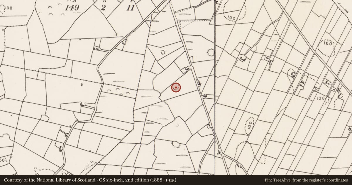 Ordnance Survey six-inch map, 2nd edition (1888–1915) covering the location of Ringfort - rath, Breaghwy, County Mayo, with a pin at the register's coordinates