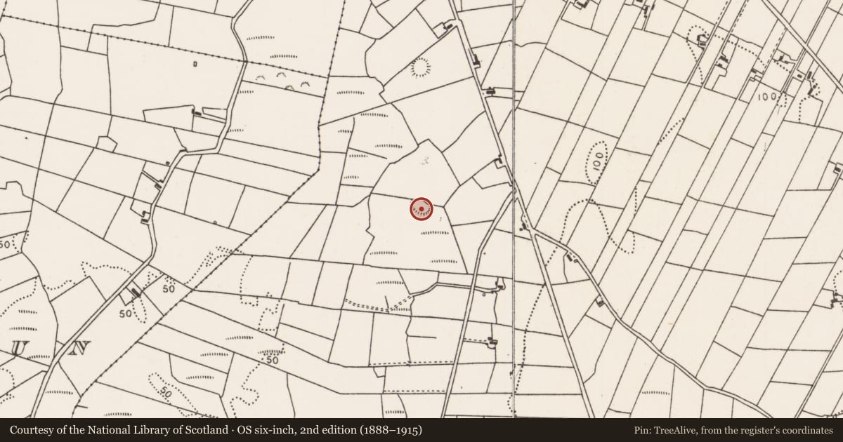 Ordnance Survey six-inch map, 2nd edition (1888–1915) covering the location of Ringfort - rath, Breaghwy, County Mayo, with a pin at the register's coordinates
