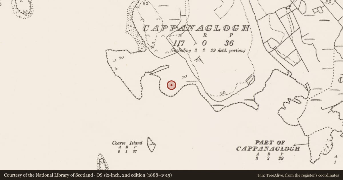 Ordnance Survey six-inch map, 2nd edition (1888–1915) covering the location of Enclosure, Cappanaglogh, County Mayo, with a pin at the register's coordinates