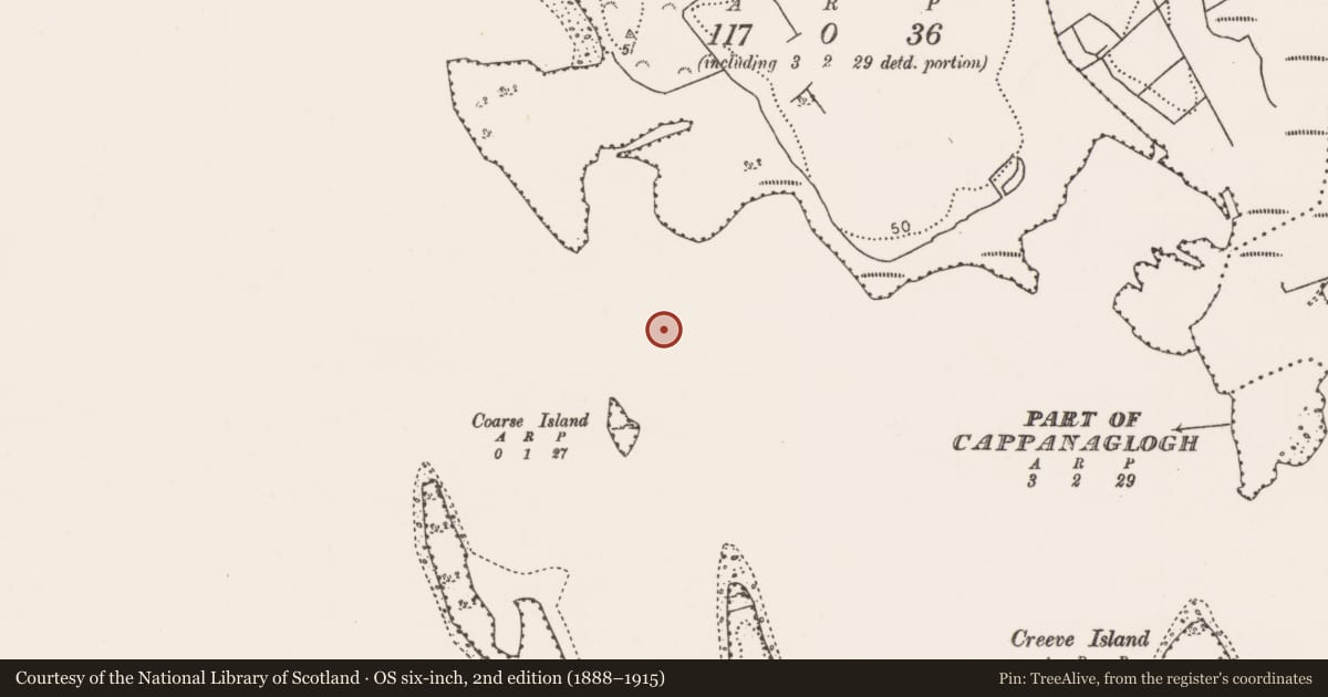 Ordnance Survey six-inch map, 2nd edition (1888–1915) covering the location of Causeway, Coarse Island, County Mayo, with a pin at the register's coordinates