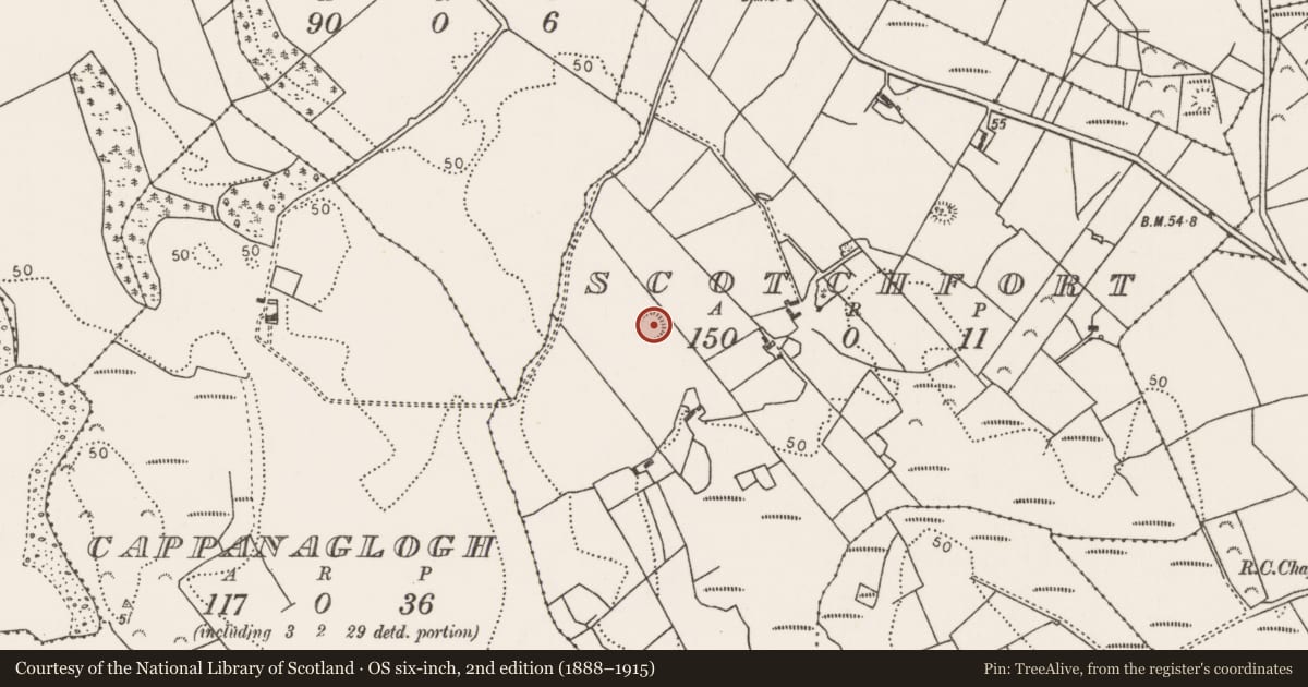 Ordnance Survey six-inch map, 2nd edition (1888–1915) covering the location of Ringfort - rath, Scotchfort, County Mayo, with a pin at the register's coordinates