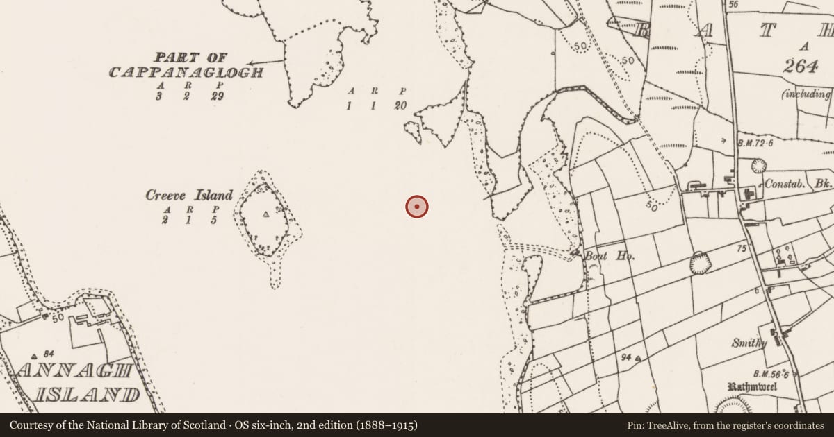 Ordnance Survey six-inch map, 2nd edition (1888–1915) covering the location of Crannog, Lough Conn, County Mayo, with a pin at the register's coordinates